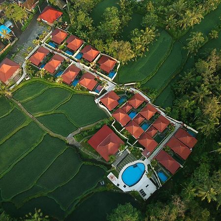 Vrindavan Ubud Villa Tegallalang  Buitenkant foto