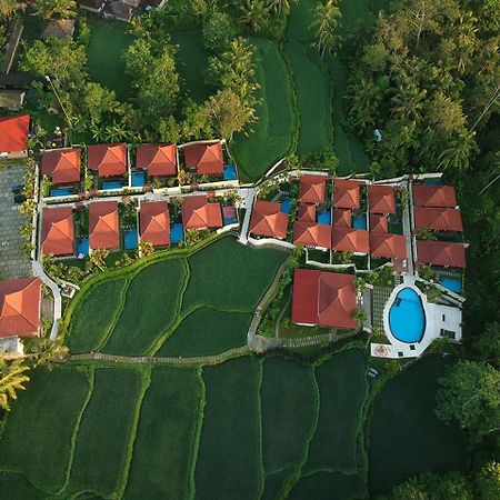 Vrindavan Ubud Villa Tegallalang  Buitenkant foto