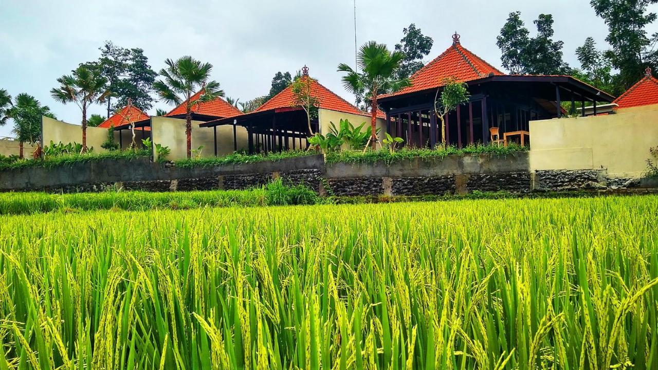 Vrindavan Ubud Villa Tegallalang  Buitenkant foto