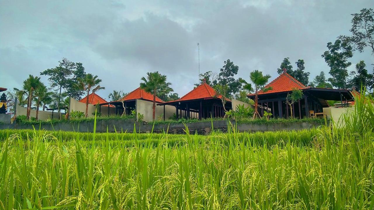 Vrindavan Ubud Villa Tegallalang  Buitenkant foto