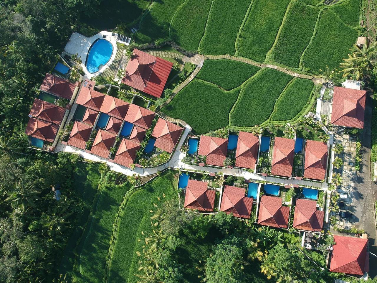 Vrindavan Ubud Villa Tegallalang  Buitenkant foto