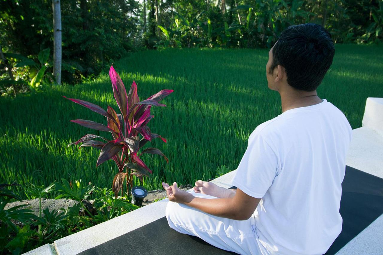 Vrindavan Ubud Villa Tegallalang  Buitenkant foto